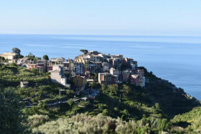 Sea view Cornelia Corniglia